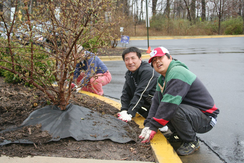 032809-mulch (4).jpg